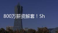 快排公司十年历程，霸屏兔 seo 的崛起与坚守