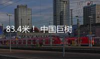 83.4米！ 中国巨树首次攀测综合科考完成