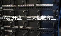 快排公司十年历程，霸屏兔 seo 的崛起与坚守
