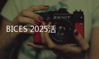 快排公司十年历程，霸屏兔 seo 的崛起与坚守