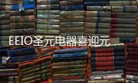 快排公司十年历程，霸屏兔 seo 的崛起与坚守