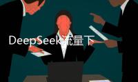 DeepSeek流量下滑，这半年梁文锋都干了啥？