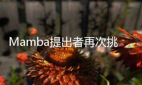 其次是一个平滑模块