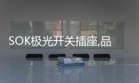 SOK极光开关插座,品牌精品，质量上乘