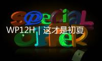 WP12H｜这才是初夏的正确打开方式！