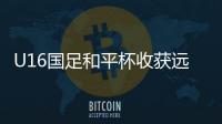 快排公司十年历程，霸屏兔 seo 的崛起与坚守