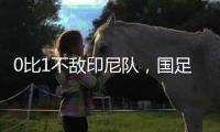 0比1不敌印尼队
，国足正式无缘美加墨世界杯