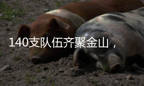 浙江、伍齐数量有限