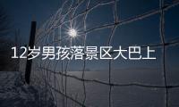 12岁男孩落景区大巴上坐过站
，导游“未清点人数、态度不好”遭孩子父亲殴打；玉龙雪山警方
：正侦办