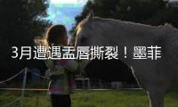 3月遭遇盂唇撕裂！墨菲谈恢复：已进行技术训练 在等身体对抗许可