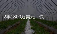 快排公司十年历程，霸屏兔 seo 的崛起与坚守