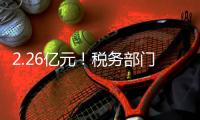 快排公司十年历程，霸屏兔 seo 的崛起与坚守