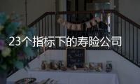 23个指标下的寿险公司画像比拼：哪家综合实力居末席�？哪家赔付更快
？｜透视金融业年报⓽