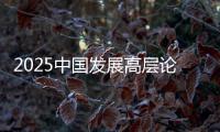 2025中国发展高层论坛：真诚欢迎国际资本回归中国