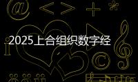 2025上合组织数字经济论坛启幕 聚焦六大领域 打造数字经济合作“上合样板”