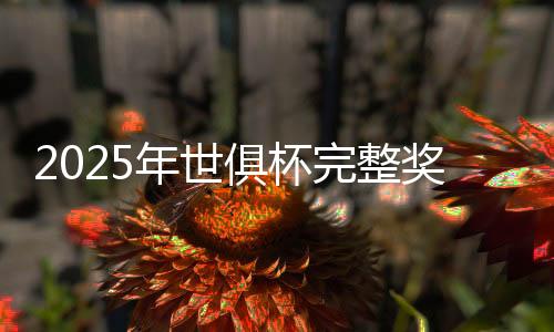 年世2370万17-迈阿密国际