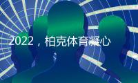 快排公司十年历程，霸屏兔 seo 的崛起与坚守