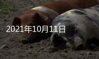 2021年10月11日
，外交部新闻发言人赵立坚主持例行记者会答问澳门月刊记者