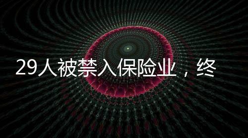 牧羊犬平台数据显示