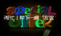 快排公司十年历程，霸屏兔 seo 的崛起与坚守