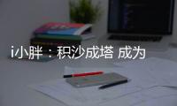 快排公司十年历程，霸屏兔 seo 的崛起与坚守
