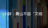 i小胖
：青山不容“文明之垢”